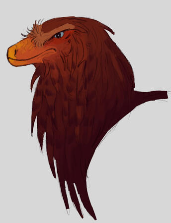 Colored Head Shot